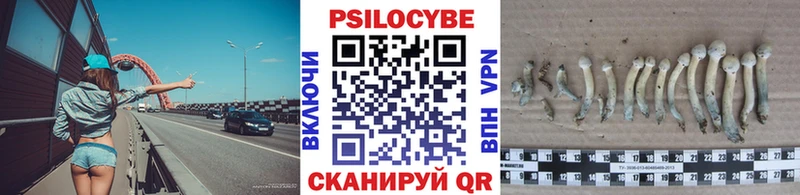 Купить закладки  Тайга  Псилоцибиновые грибы MAGIC MUSHROOMS 